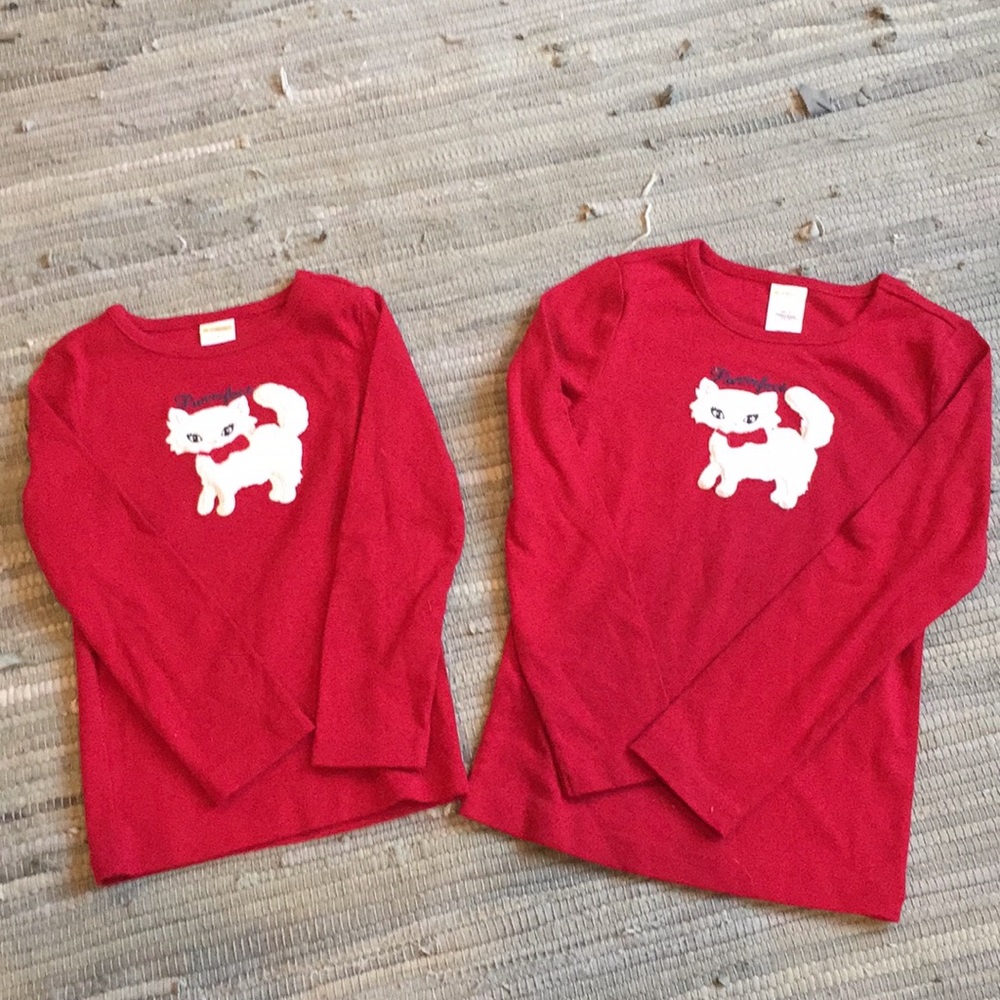 Gymboree girls shirt